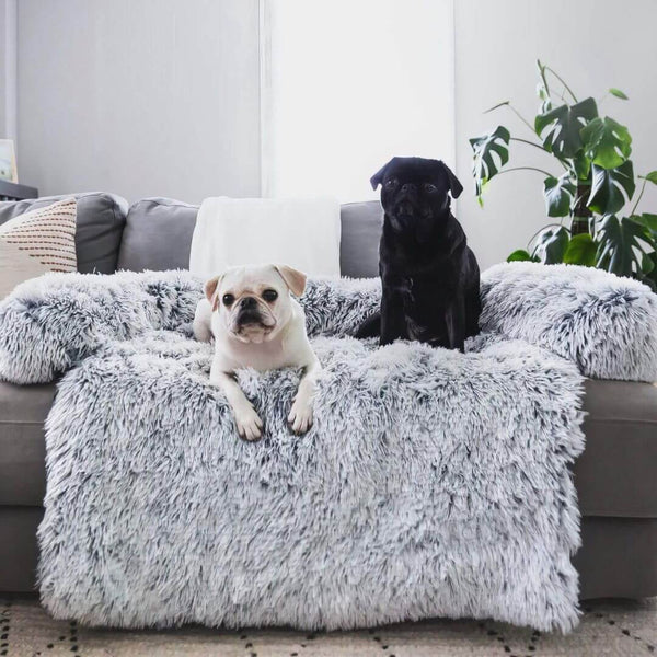 Halte deine Möbel sauber und deinen Hund angstfrei