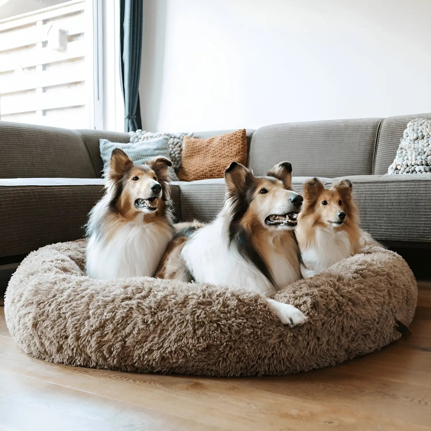 MrFluffyFriend – Angstlösendes Hundebett für große Hunde