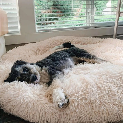 MrFluffyFriend® - Das beste Anti-Angst Hundebett
