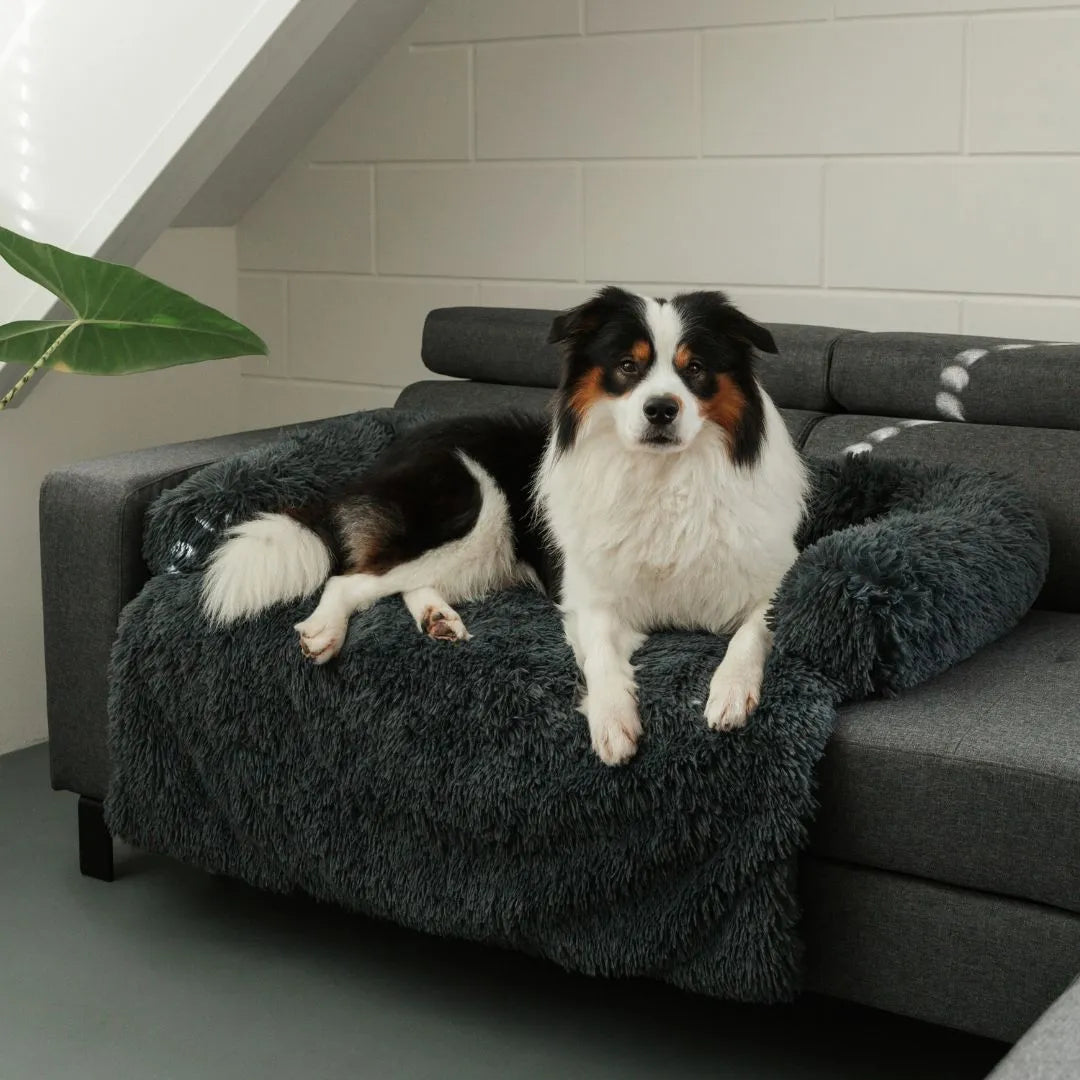 MrFluffyFriend – Der beste Sofabezug für Hunde