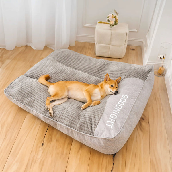 3 von 4 Hunden schlafen ohne richtige Stütze