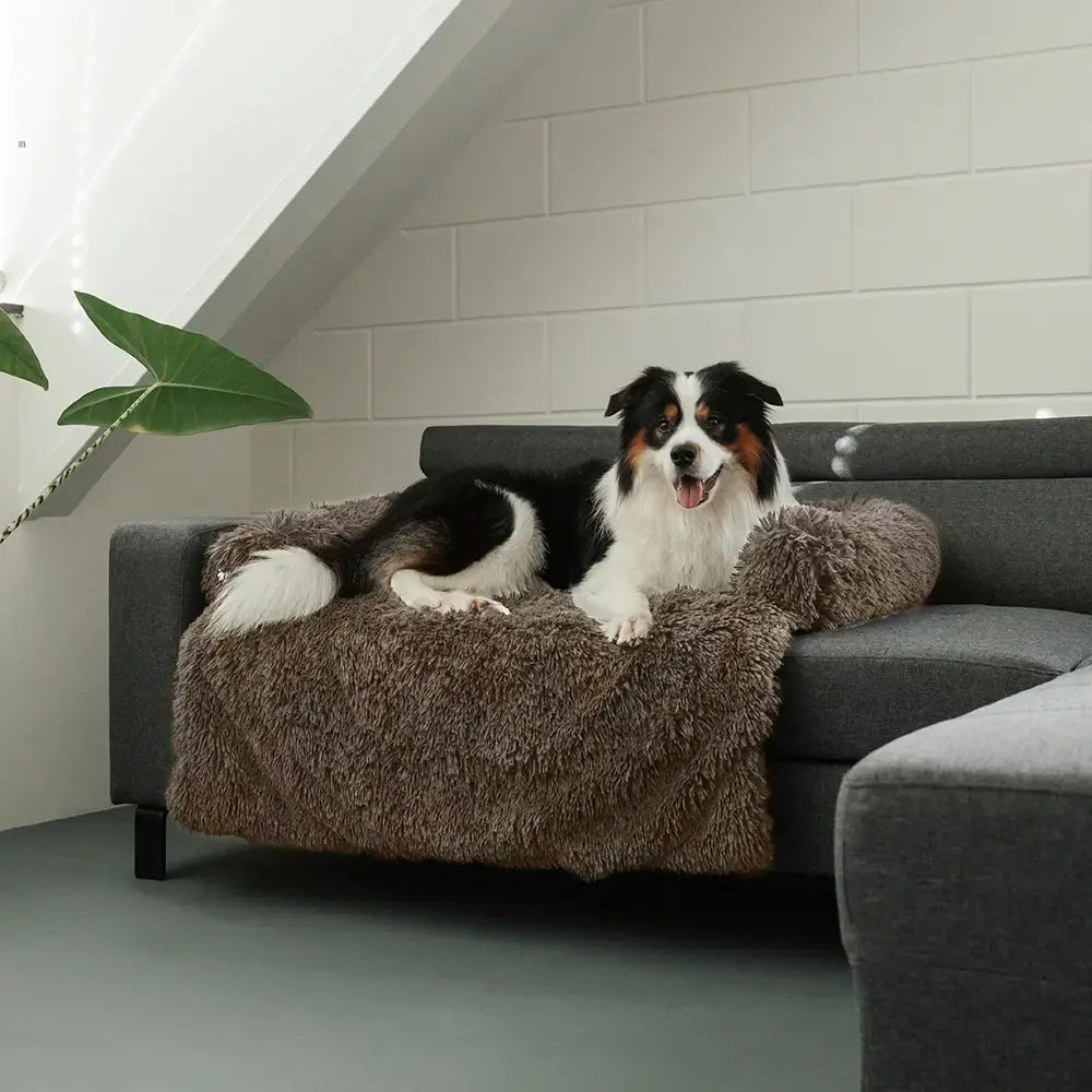 MrFluffyFriend – Flauschiger Sofabezug für Hunde und Katzen